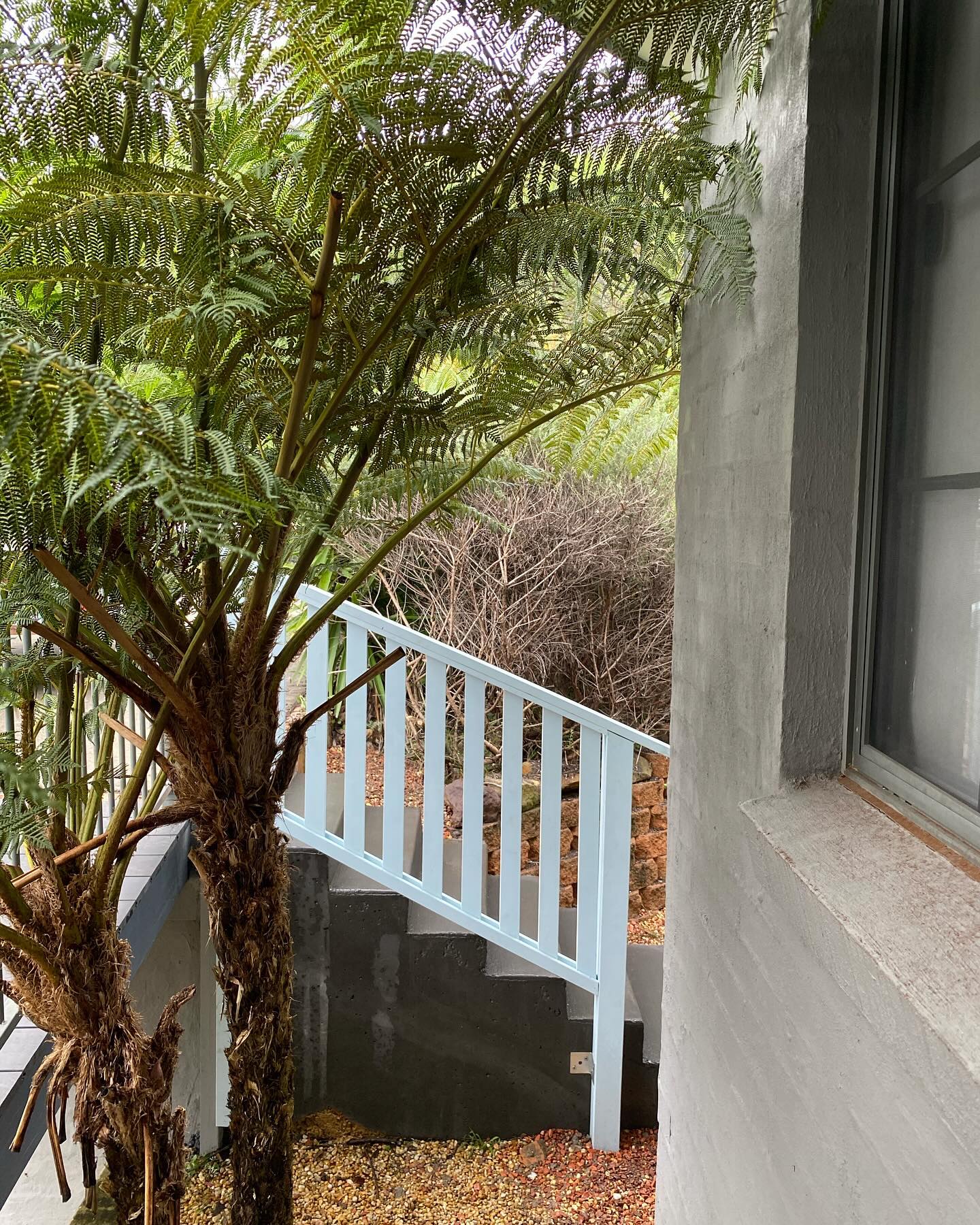 concrete stair design Bonnet Bay