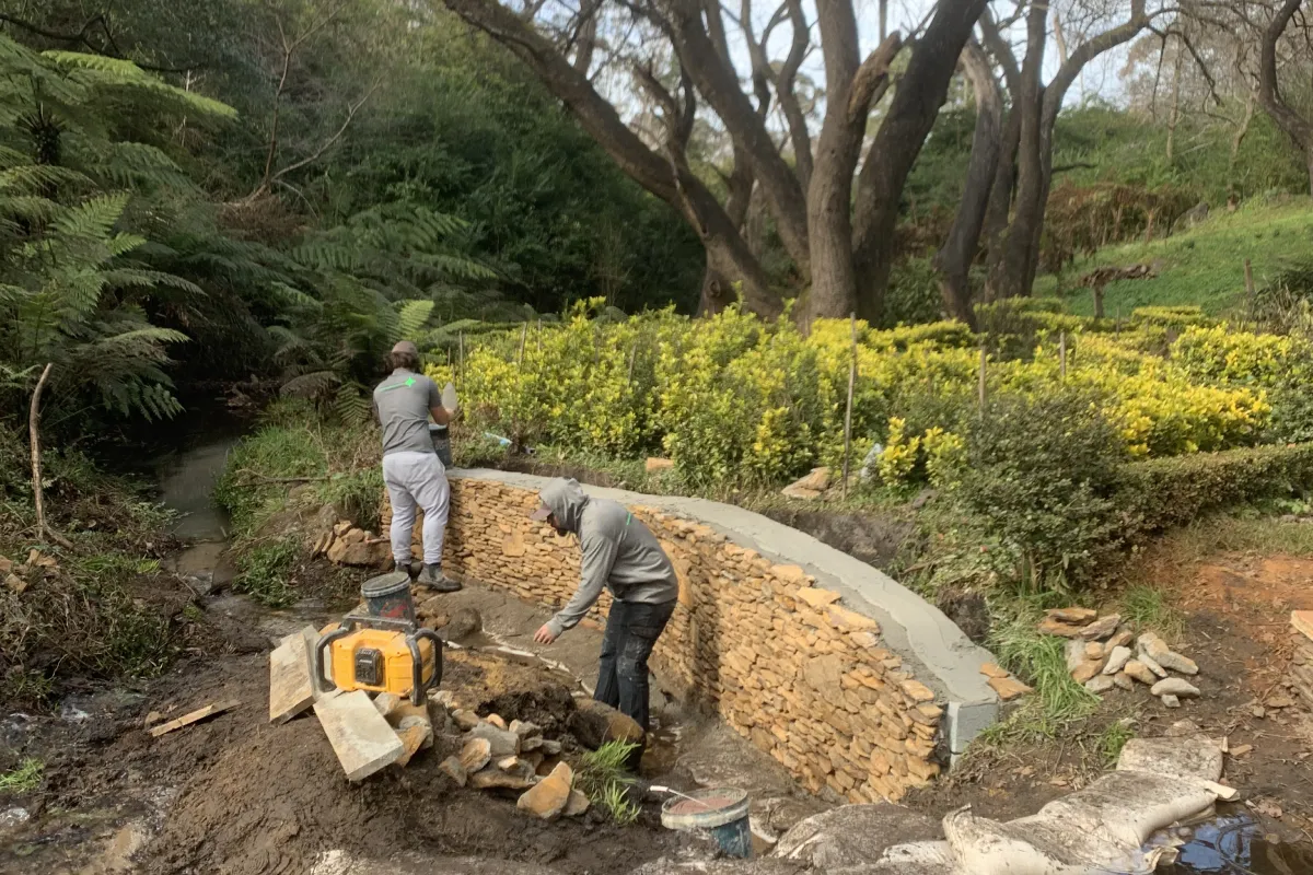 Landscape Architecture